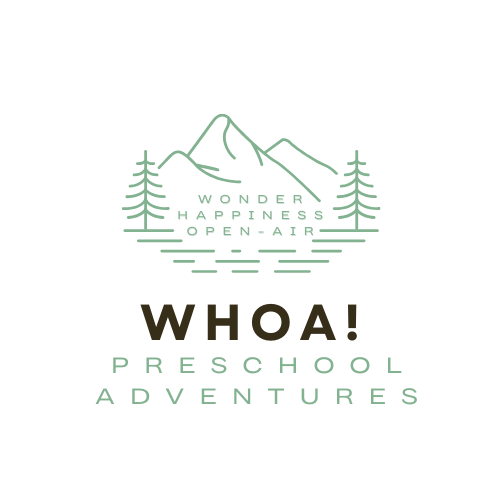 whoapreschooladventures.com
